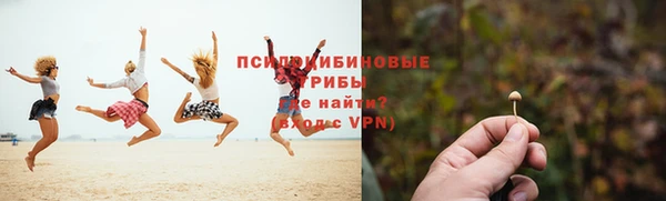 MDMA Дмитровск