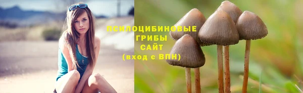 таблы Дмитров