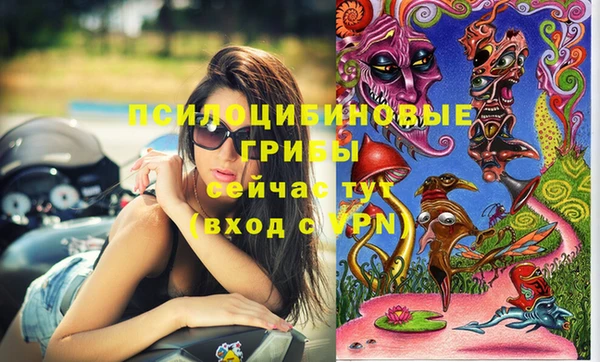 таблы Дмитров