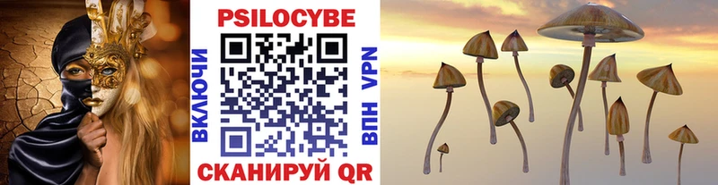 закладки  Междуреченск  Галлюциногенные грибы GOLDEN TEACHER 